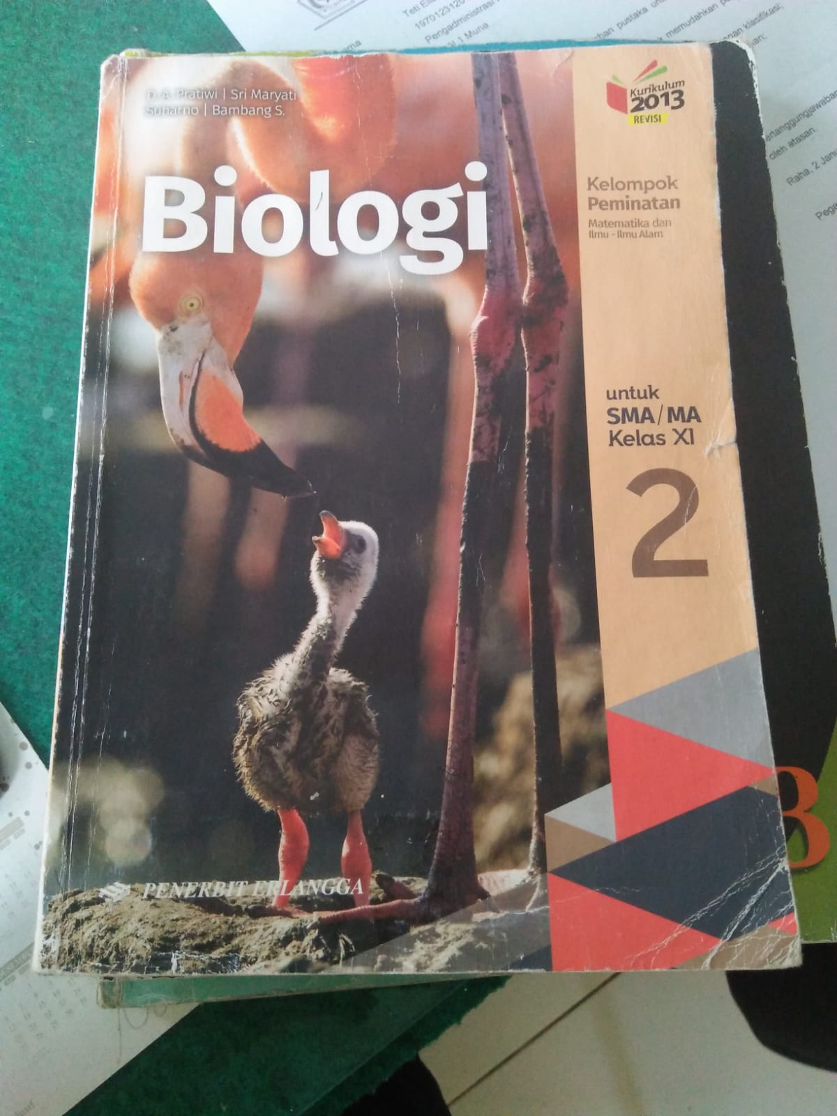 BIOLOGI KELAS XI